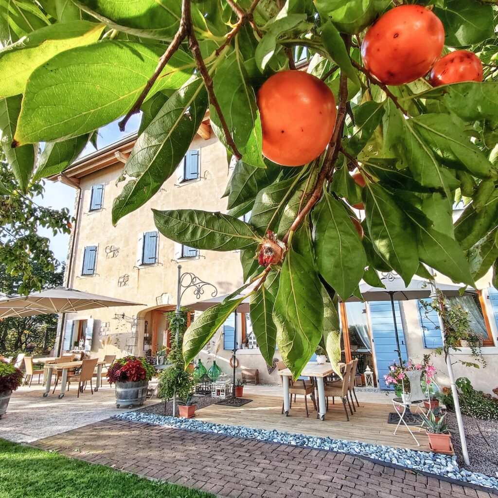 svatba v Itálii Prosecco Hills