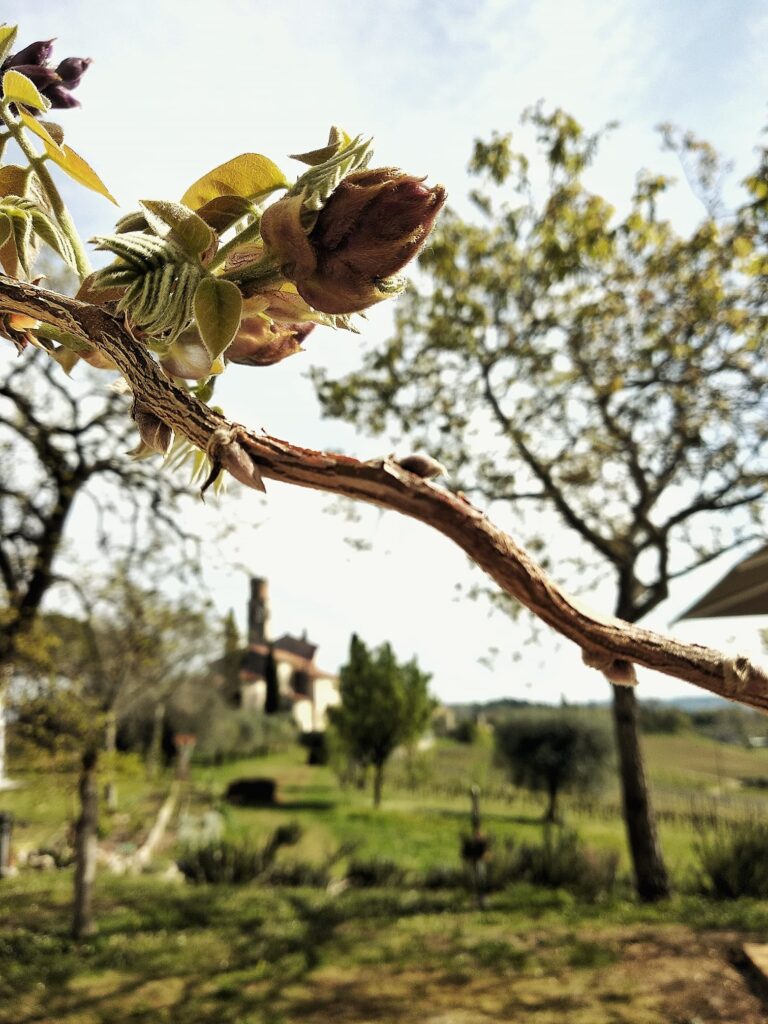 svatba v Itálii Prosecco Hills