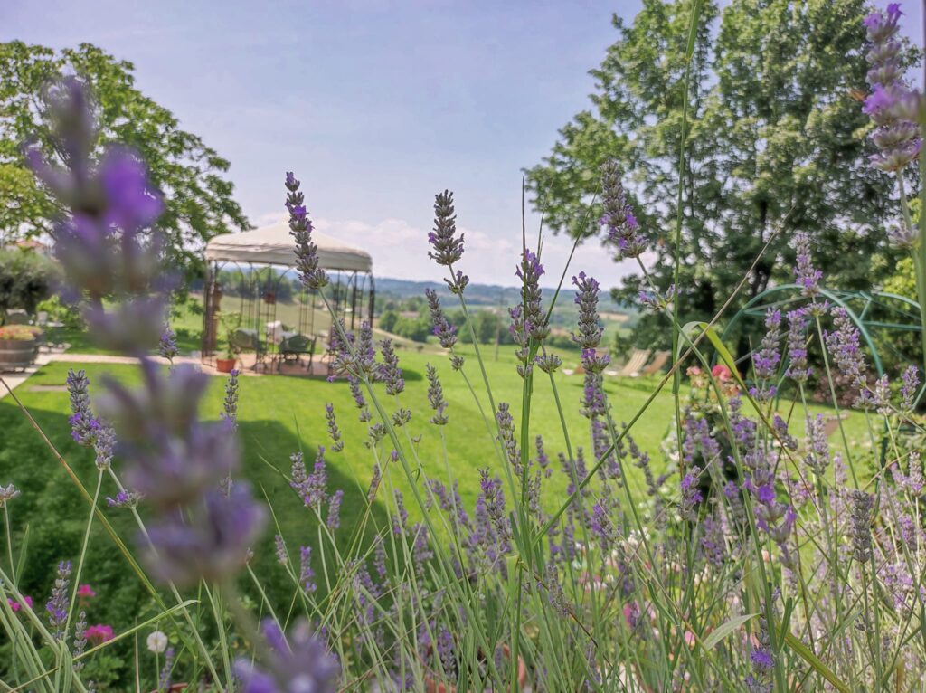 svatba v Itálii Prosecco Hills