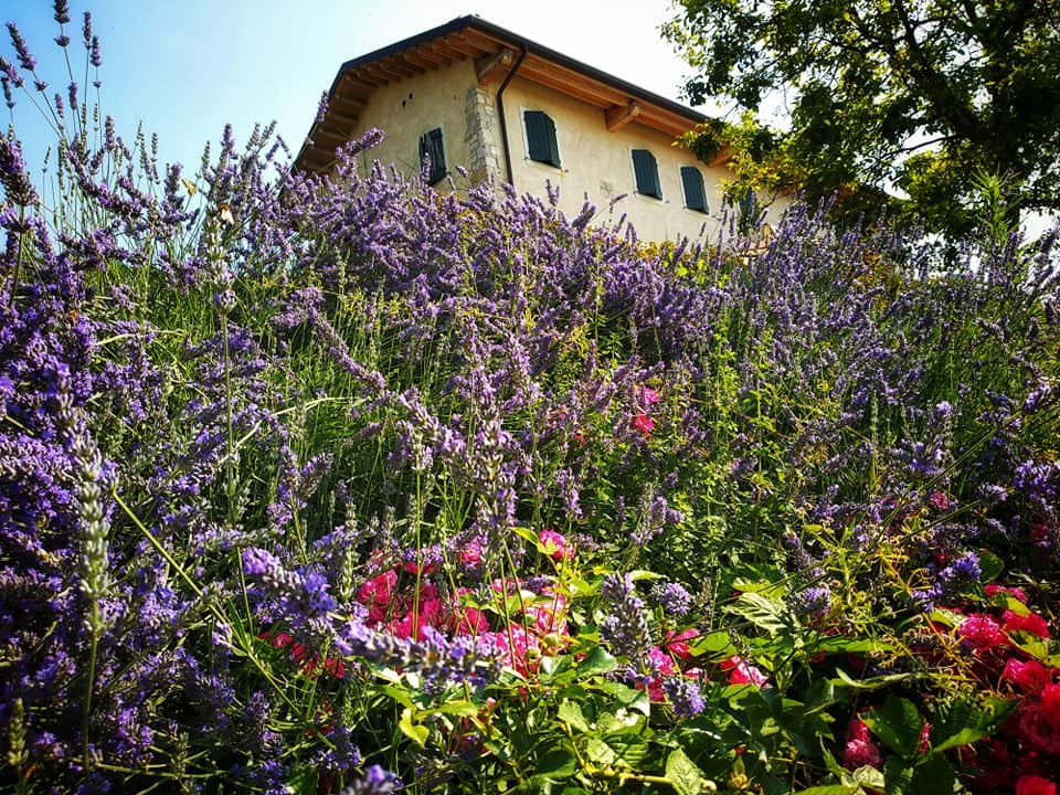 svatba v Itálii Prosecco Hills