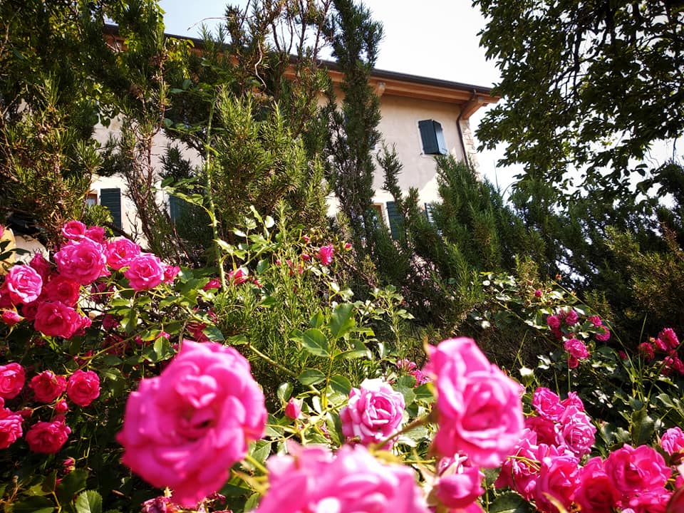 svatba v Itálii Prosecco Hills