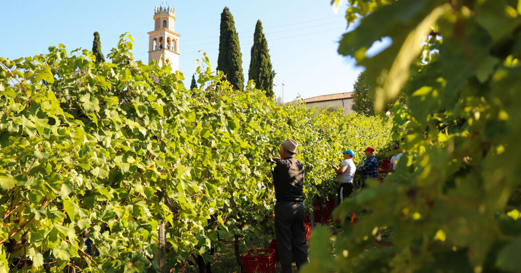svatba v Itálii Prosecco Hills