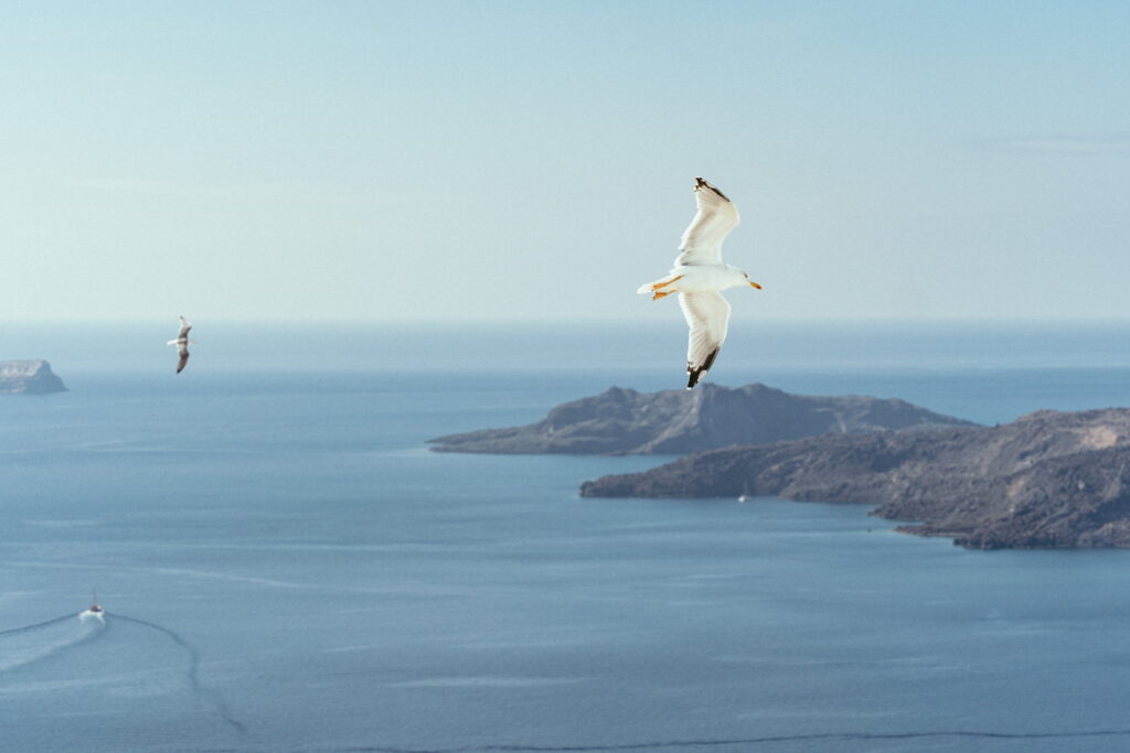 svatba v Řecku na Santorini