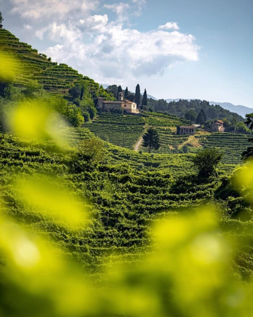svatba v Itálii v kraji Prosecca