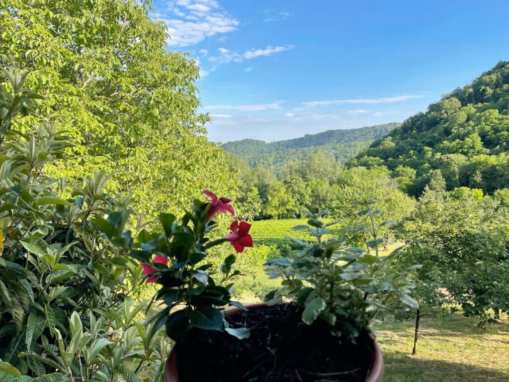 svatba v Itálii v kraji Prosecca